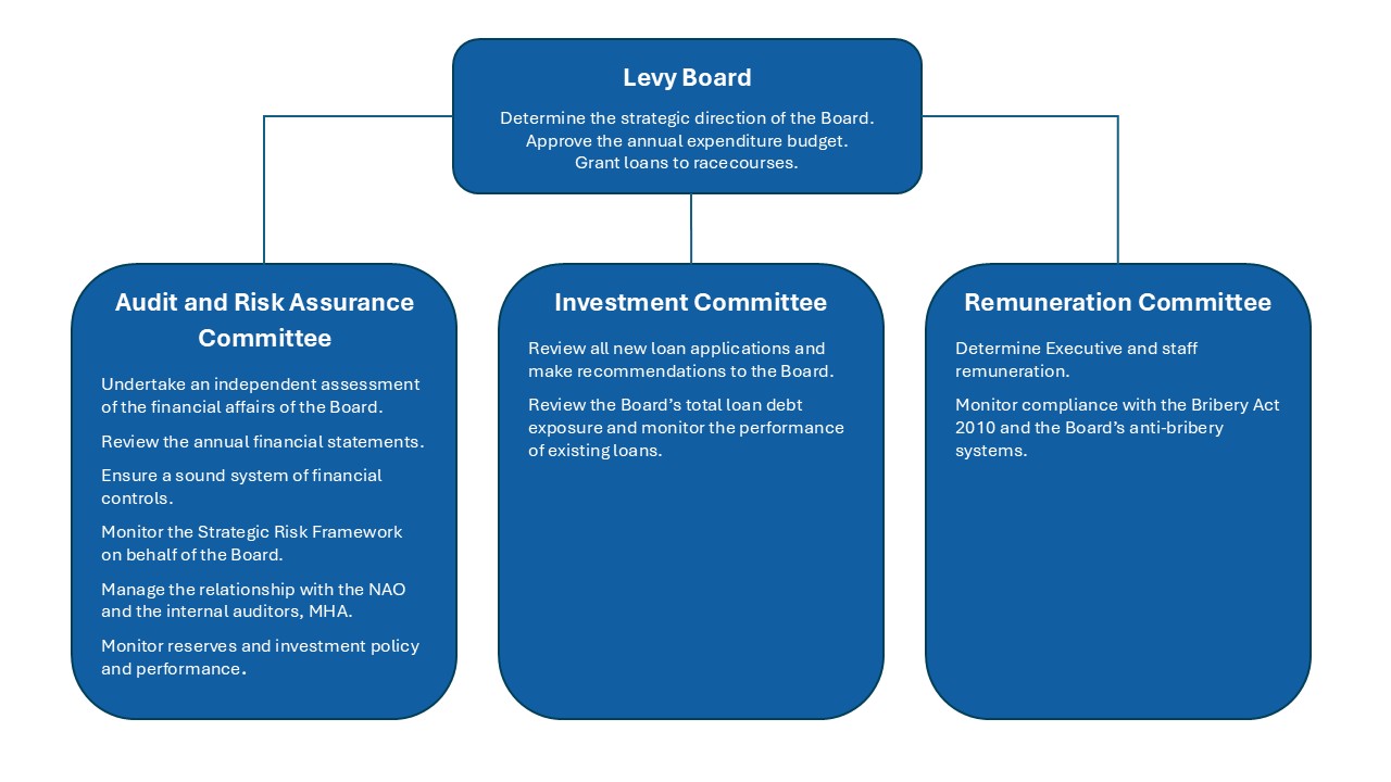 Organisation Governance Structure